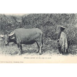 Rare collectable postcards of China. Vintage Postcards of China