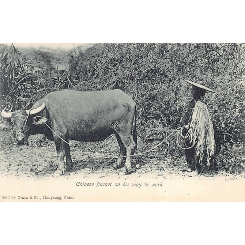 Rare collectable postcards of China. Vintage Postcards of China