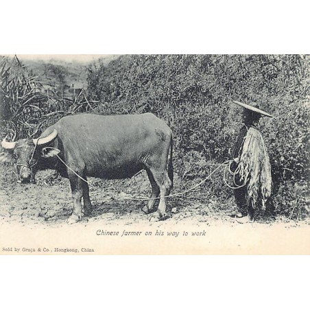 Rare collectable postcards of China. Vintage Postcards of China