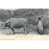 Rare collectable postcards of China. Vintage Postcards of China