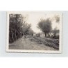 Rare collectable postcards of China. Vintage Postcards of China