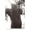 Rare collectable postcards of GREECE. Vintage Postcards of GREECE
