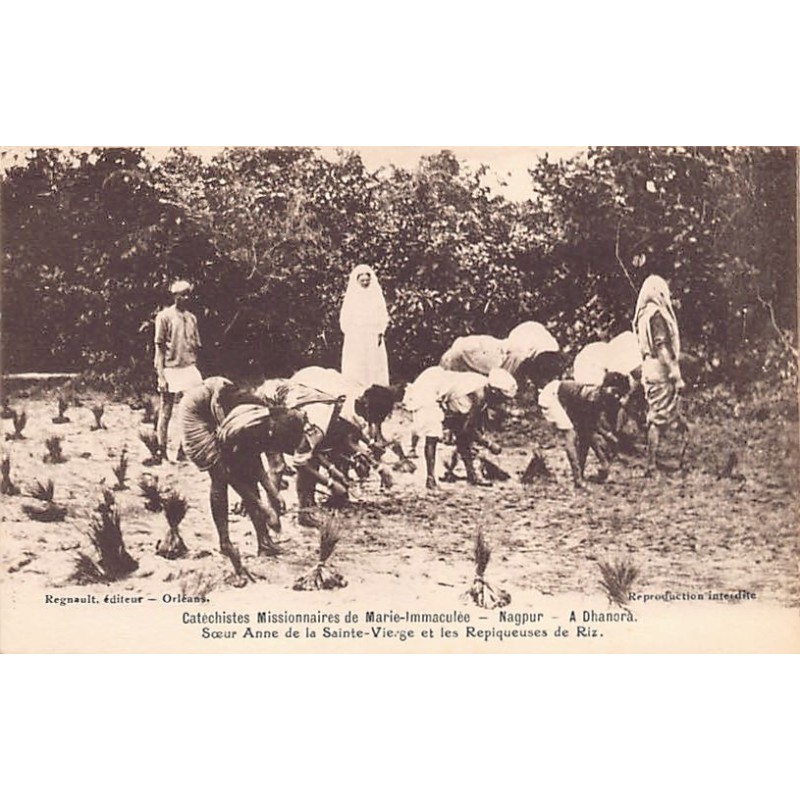 Rare collectable postcards of India. Vintage Postcards of India