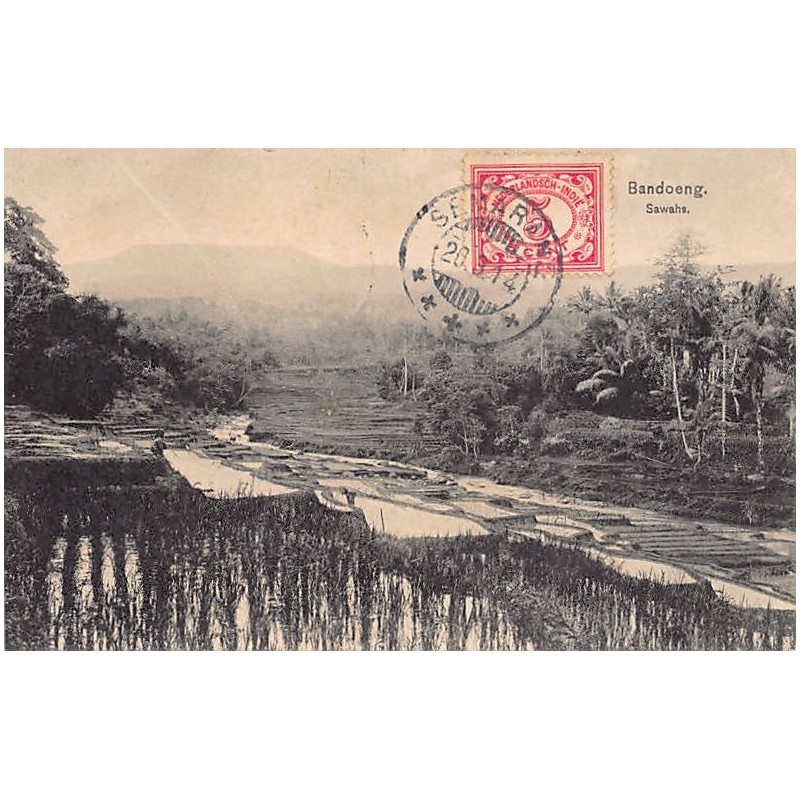 Rare collectable postcards of Indonesia. Vintage Postcards of Indonesia