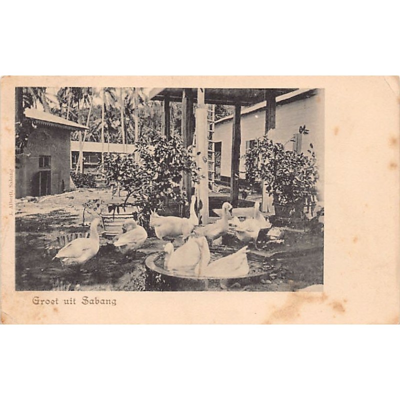 Rare collectable postcards of Indonesia. Vintage Postcards of Indonesia