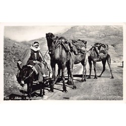 Rare collectable postcards of Lebanon. Vintage Postcards of Lebanon
