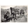 Rare collectable postcards of Lebanon. Vintage Postcards of Lebanon
