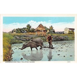 Rare collectable postcards of Philippines. Vintage Postcards of Philippines