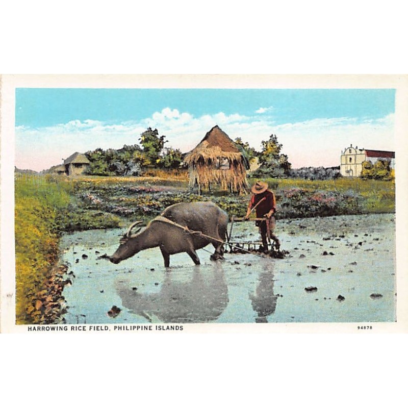 Rare collectable postcards of Philippines. Vintage Postcards of Philippines