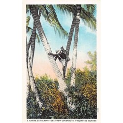 Rare collectable postcards of Philippines. Vintage Postcards of Philippines