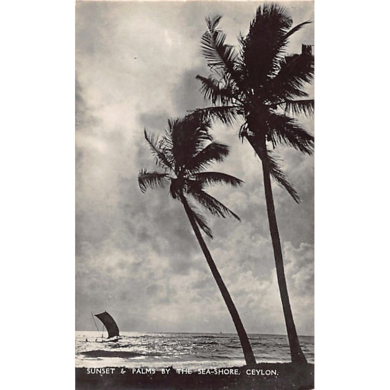 Rare collectable postcards of Sri Lanka (Ceylon). Vintage Postcards of Sri Lanka (Ceylon)