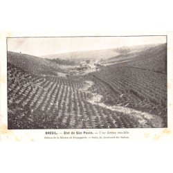 Rare collectable postcards of Brazil. Vintage Postcards of Brazil