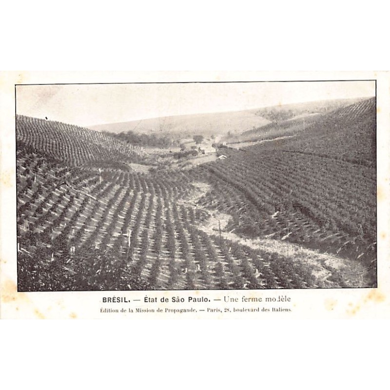 Rare collectable postcards of Brazil. Vintage Postcards of Brazil