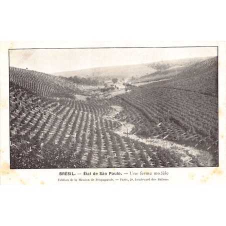 Rare collectable postcards of Brazil. Vintage Postcards of Brazil