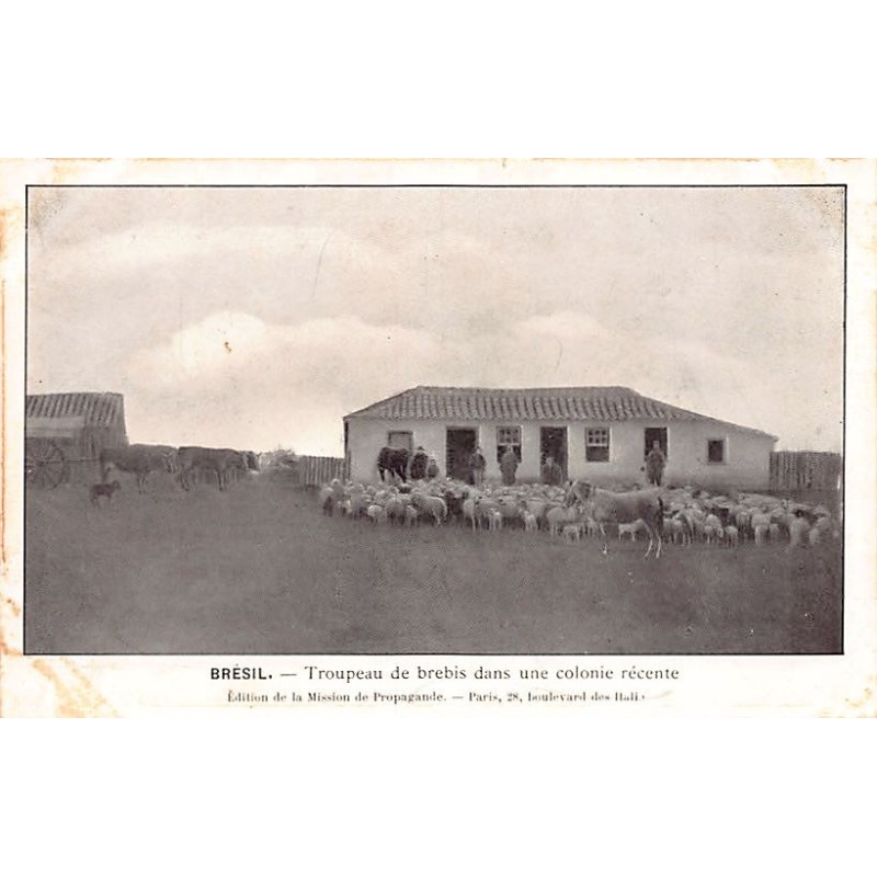 Rare collectable postcards of Brazil. Vintage Postcards of Brazil