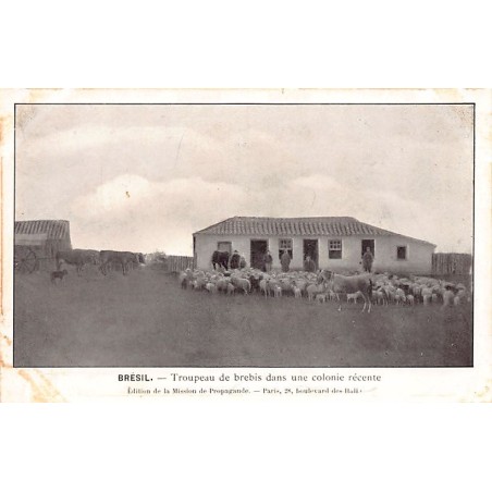 Rare collectable postcards of Brazil. Vintage Postcards of Brazil