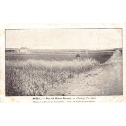 Rare collectable postcards of Brazil. Vintage Postcards of Brazil