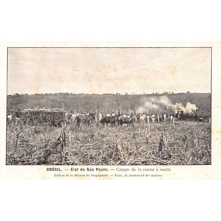 Rare collectable postcards of Brazil. Vintage Postcards of Brazil