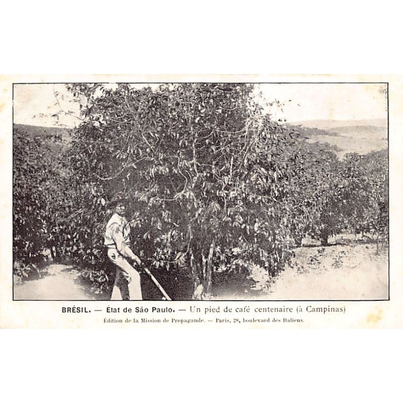 Rare collectable postcards of Brazil. Vintage Postcards of Brazil