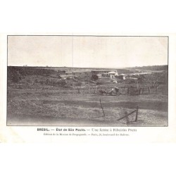 Rare collectable postcards of Brazil. Vintage Postcards of Brazil