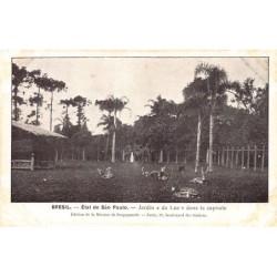 Rare collectable postcards of Brazil. Vintage Postcards of Brazil