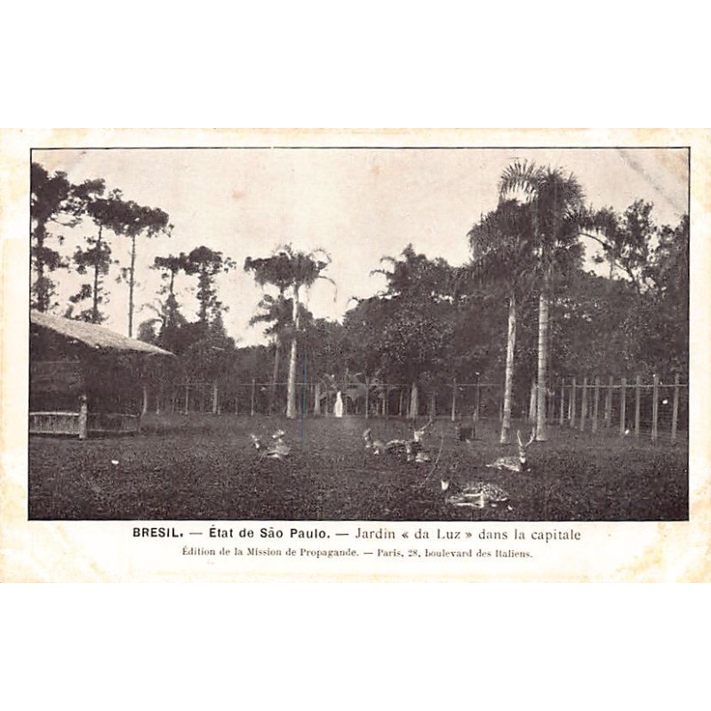 Rare collectable postcards of Brazil. Vintage Postcards of Brazil