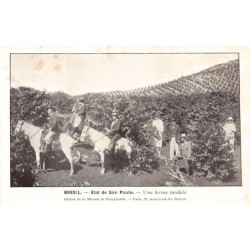 Rare collectable postcards of Brazil. Vintage Postcards of Brazil