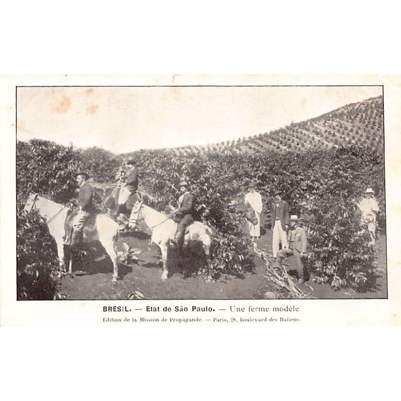 Rare collectable postcards of Brazil. Vintage Postcards of Brazil