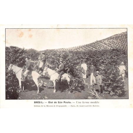 Rare collectable postcards of Brazil. Vintage Postcards of Brazil