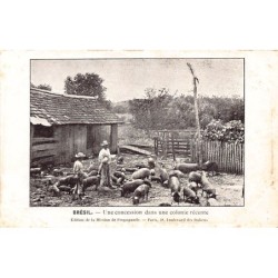 Rare collectable postcards of Brazil. Vintage Postcards of Brazil