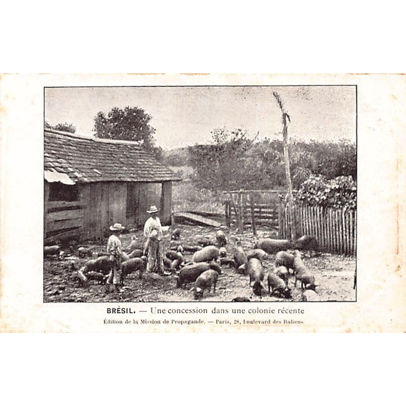 Rare collectable postcards of Brazil. Vintage Postcards of Brazil