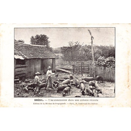 Rare collectable postcards of Brazil. Vintage Postcards of Brazil