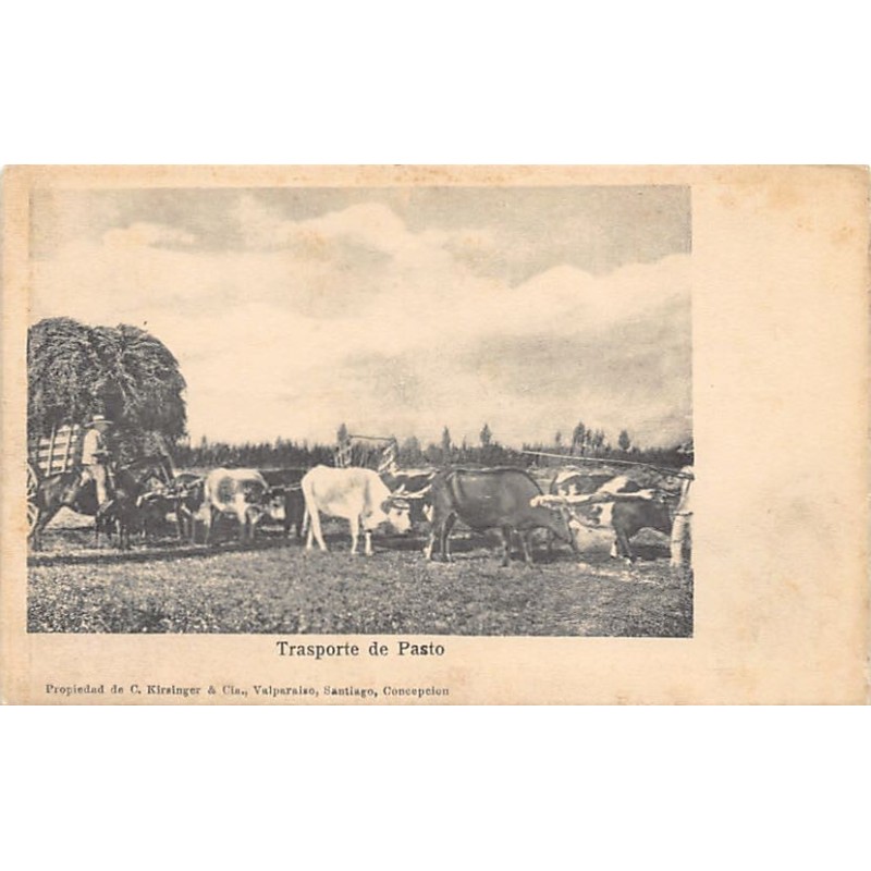 Rare collectable postcards of Chile. Vintage Postcards of Chile