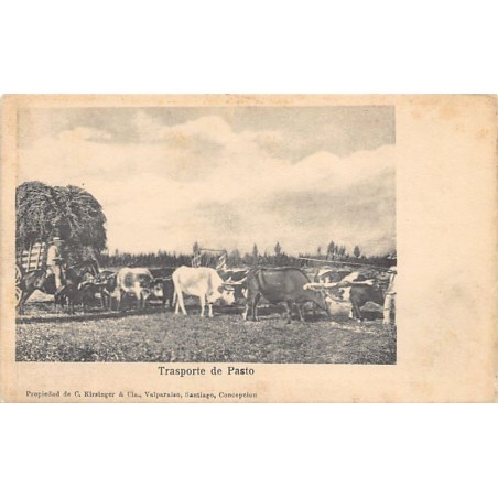 Rare collectable postcards of Chile. Vintage Postcards of Chile