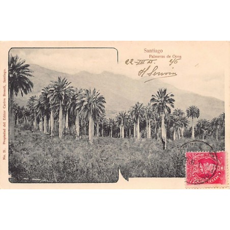 Rare collectable postcards of Chile. Vintage Postcards of Chile