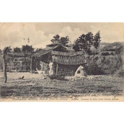 Rare collectable postcards of Chile. Vintage Postcards of Chile