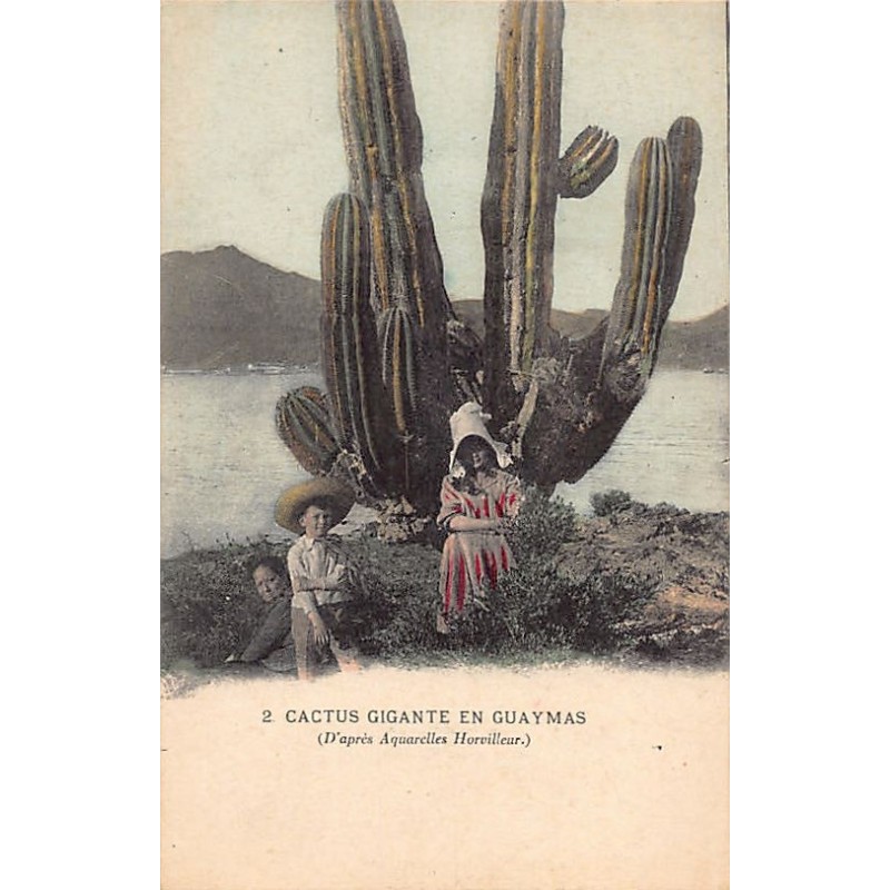 Rare collectable postcards of Mexico. Vintage Postcards of Mexico