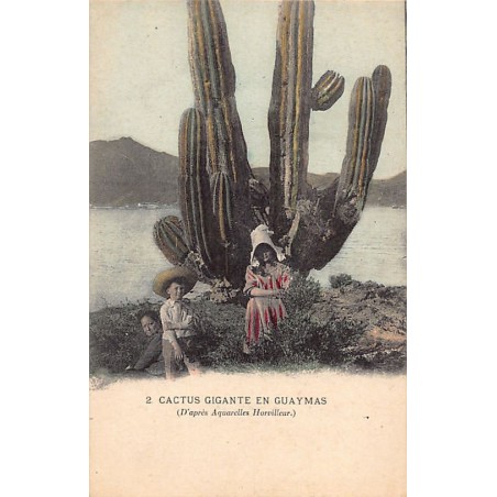 Rare collectable postcards of Mexico. Vintage Postcards of Mexico