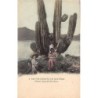 Rare collectable postcards of Mexico. Vintage Postcards of Mexico