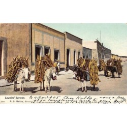 Rare collectable postcards of Mexico. Vintage Postcards of Mexico