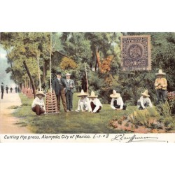 Rare collectable postcards of Mexico. Vintage Postcards of Mexico