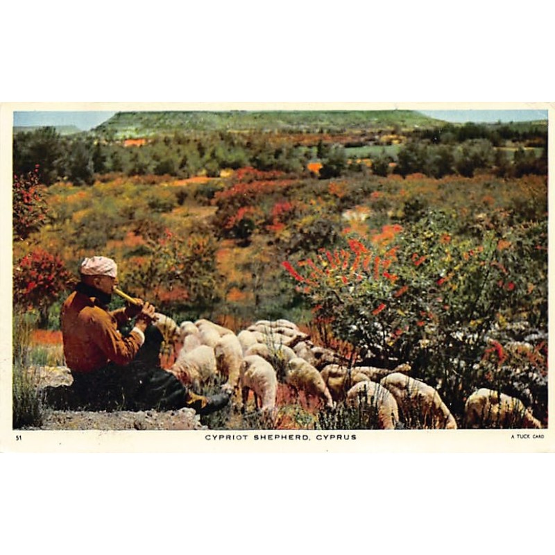 Rare collectable postcards of Cyprus. Vintage Postcards of Cyprus