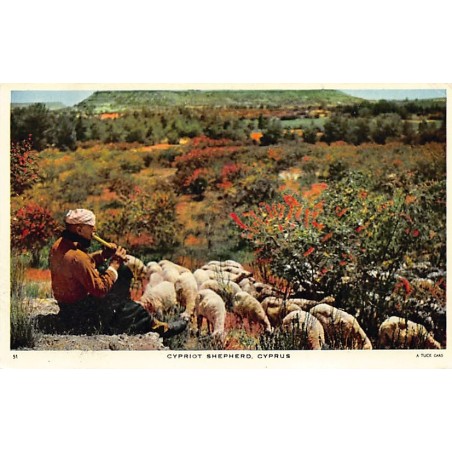Rare collectable postcards of Cyprus. Vintage Postcards of Cyprus