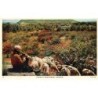 Rare collectable postcards of Cyprus. Vintage Postcards of Cyprus