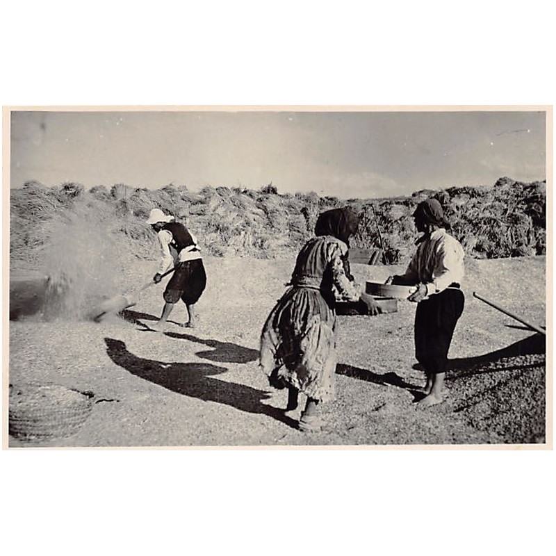 Rare collectable postcards of Cyprus. Vintage Postcards of Cyprus