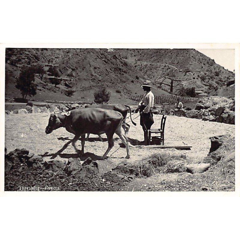 Rare collectable postcards of Cyprus. Vintage Postcards of Cyprus
