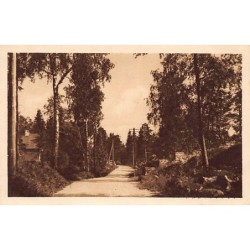 Rare collectable postcards of Finland. Vintage Postcards of Finland