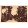 Rare collectable postcards of Finland. Vintage Postcards of Finland