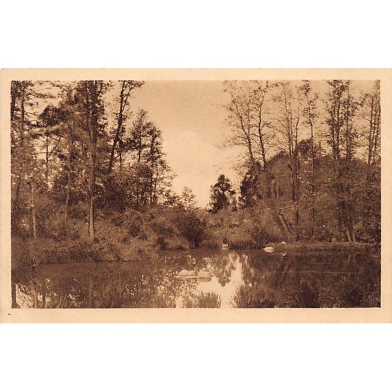 Rare collectable postcards of Finland. Vintage Postcards of Finland