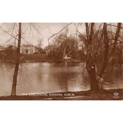 Rare collectable postcards of Ireland. Vintage Postcards of Ireland